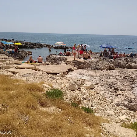 Gæstehus White Rock House *